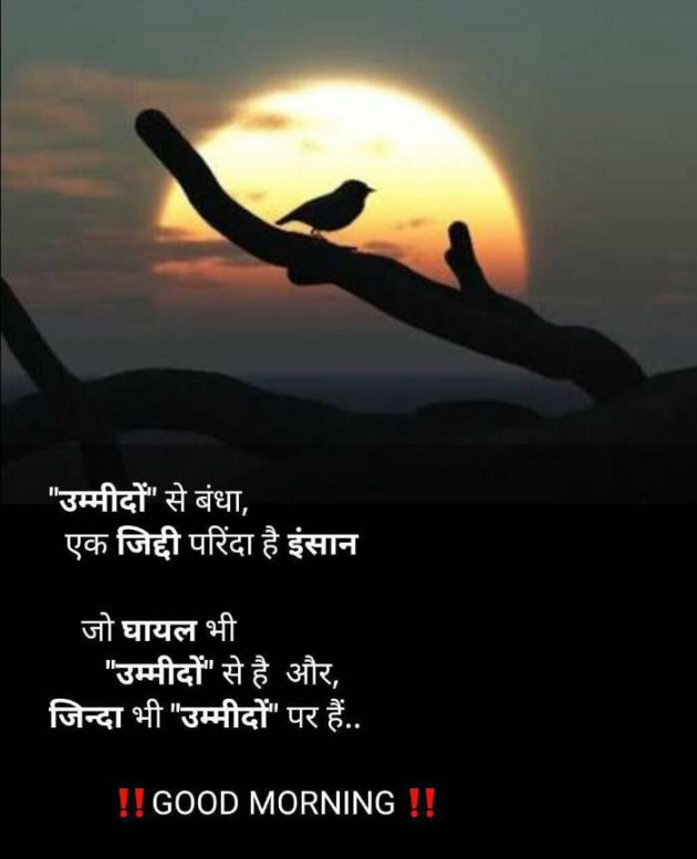 Hindi Quotes by Gurpreet Singh : 111170114
