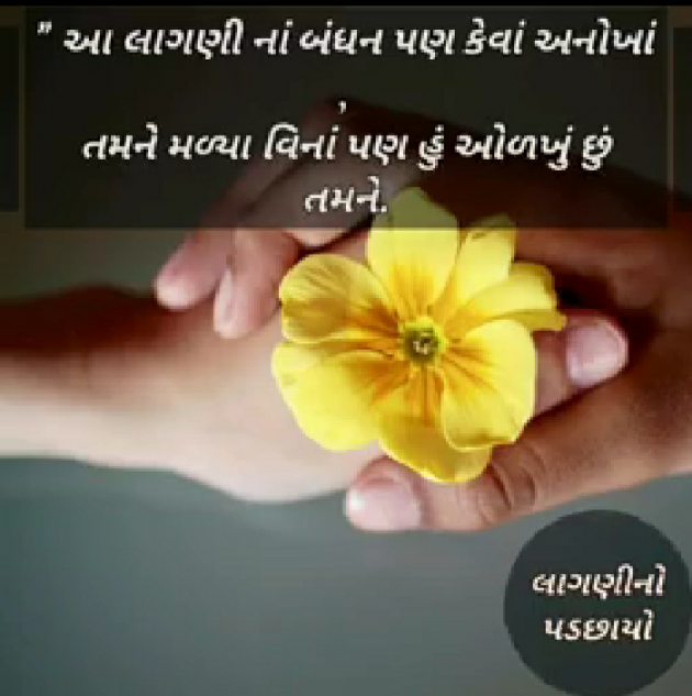 Hindi Shayri by mahendra nanavare : 111170240