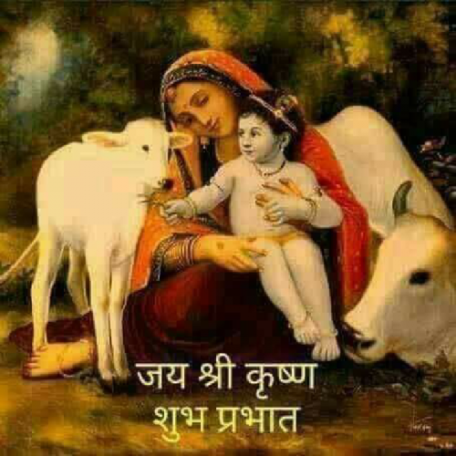 Post by Manish Mkpatel on 15-May-2019 10:20pm