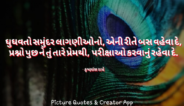 Gujarati Good Evening by Krishnansh Radhe : 111171037