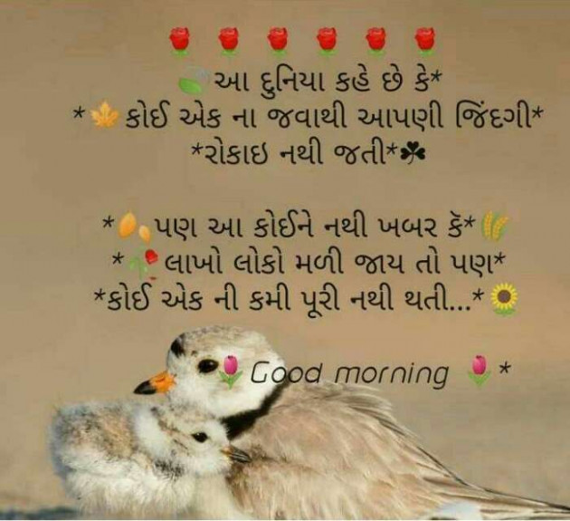 Gujarati Good Morning by Mehul Kumar : 111171112