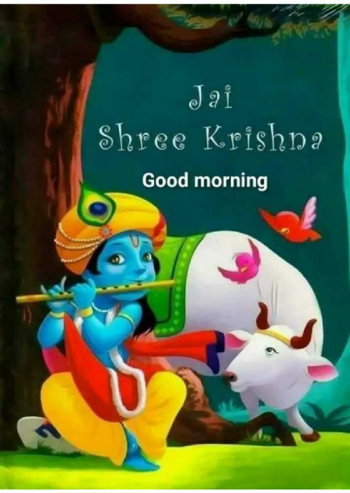 Post by Rupapara Dbr on 16-May-2019 11:51pm