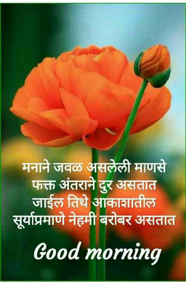 Marathi Good Morning by मच्छिंद्र माळी : 111172037