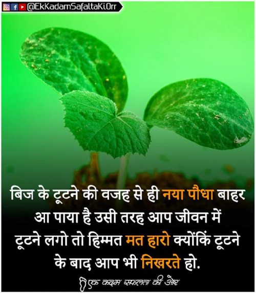 Post by Deepika Jain on 17-May-2019 07:04am