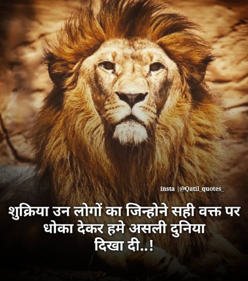 Post by PRATIK KHASIYA on 17-May-2019 08:19am