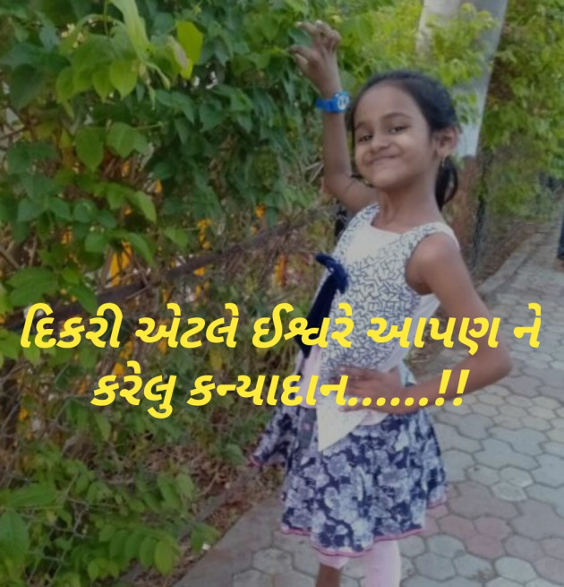 Gujarati Blog by Shailesh jivani : 111172460