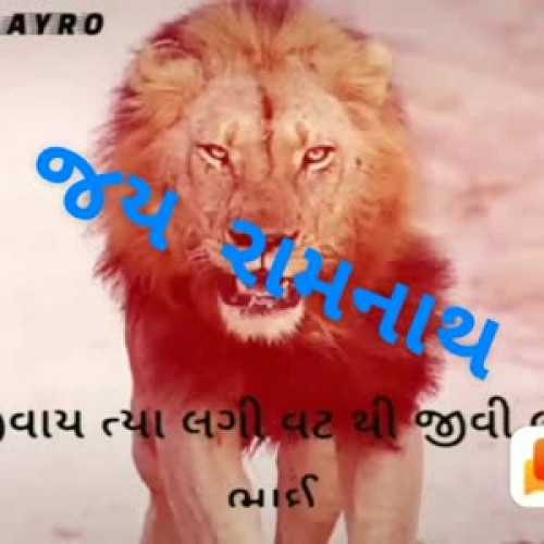 Rajendrabhi Gujarati videos on Matrubharti