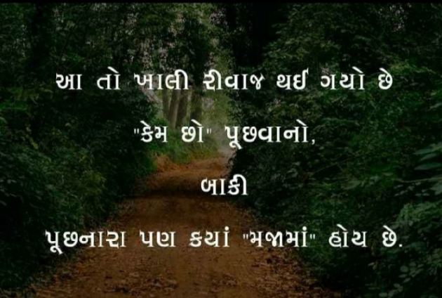 Gujarati Whatsapp-Status by Gadhadara Jayou : 111173245