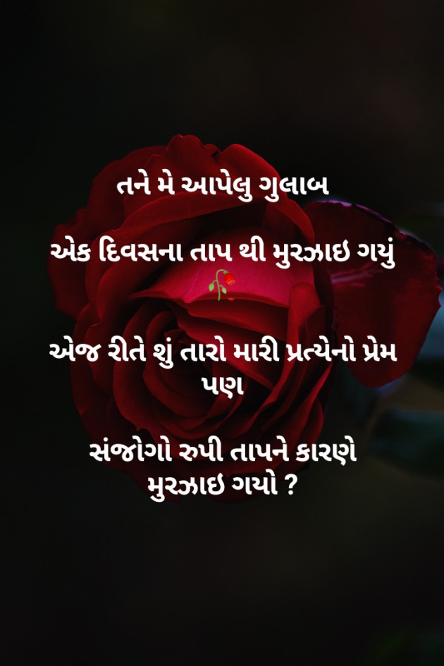 Gujarati Questions by Insta- Sabdomara : 111173339