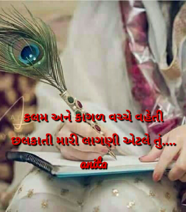 Gujarati Blog by Nai Anita : 111173611