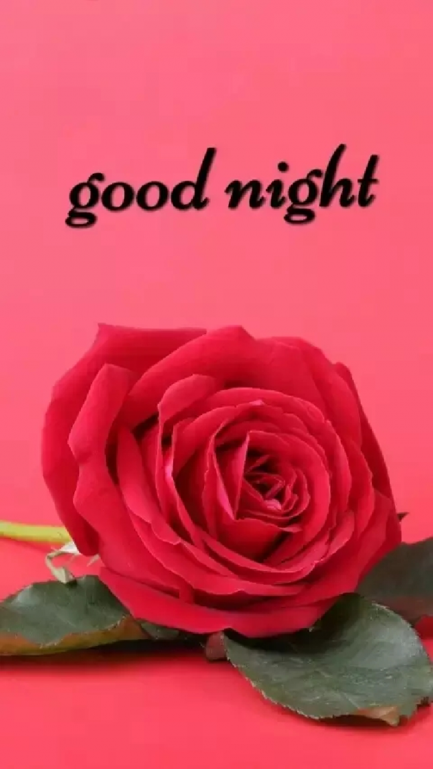 Gujarati Whatsapp-Status by Patel Pradip : 111173835