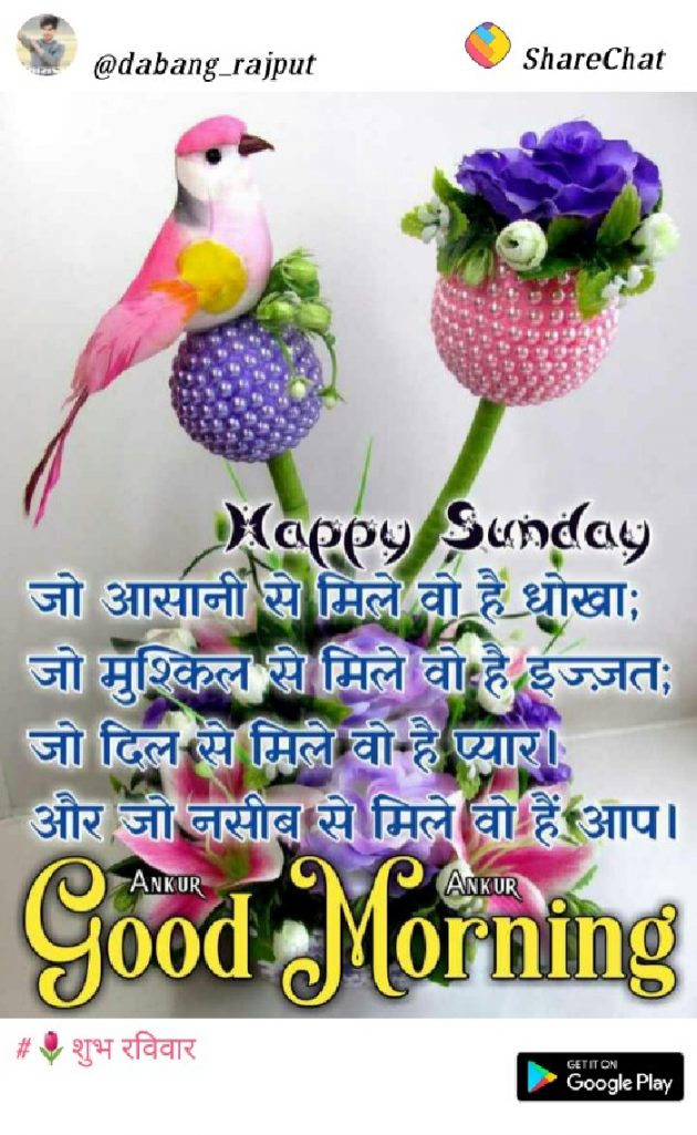 Gujarati Whatsapp-Status by Patel Pradip : 111173951