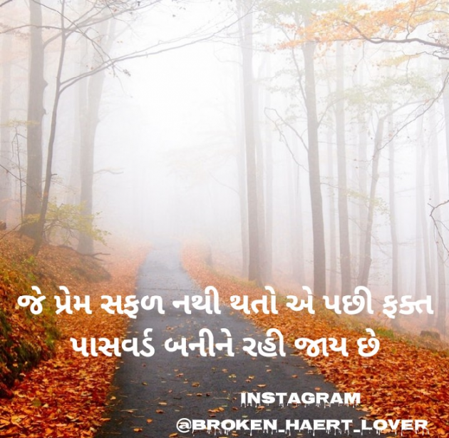 Gujarati Whatsapp-Status by Broken Haert Lover : 111174386