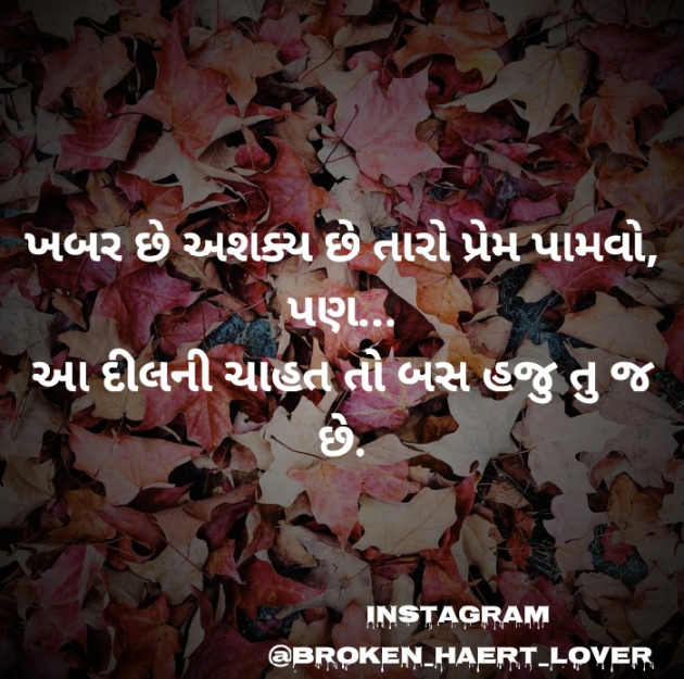 Gujarati Whatsapp-Status by Broken Haert Lover : 111174388