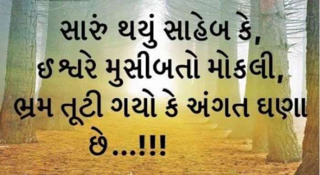 Gujarati Whatsapp-Status by sikandar : 111174444