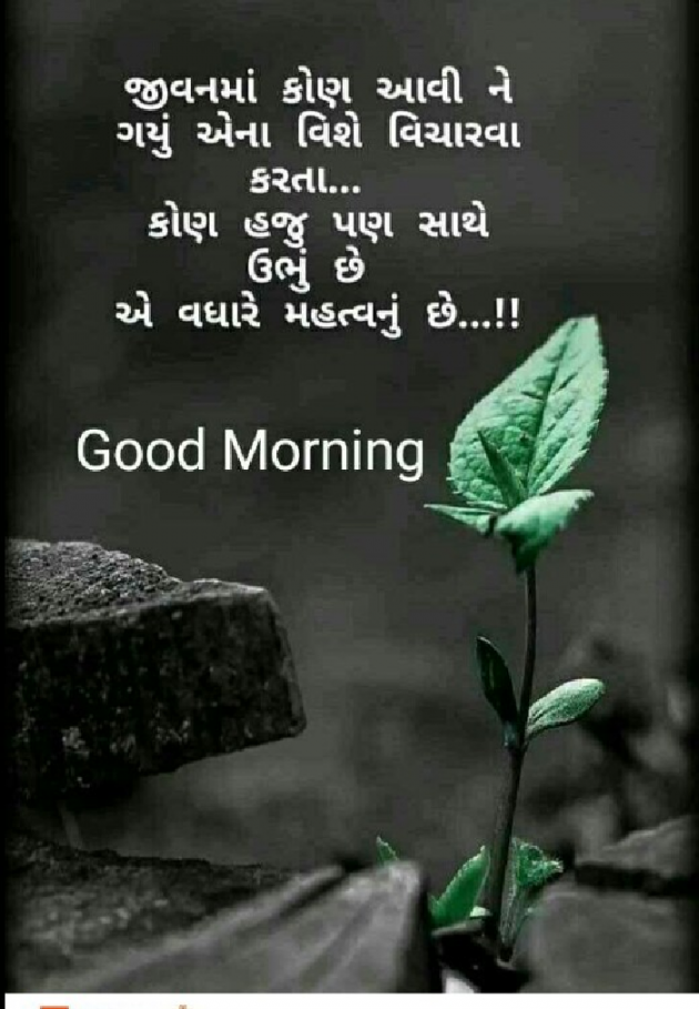 Gujarati Good Morning by Thakor Dinesh : 111174828