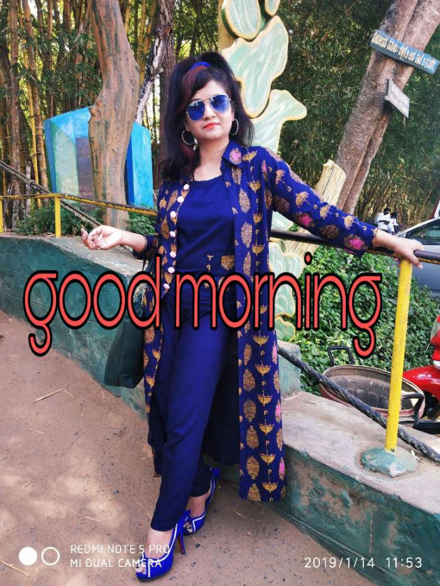 Hindi Good Morning by Seema Shivhare suman : 111174978