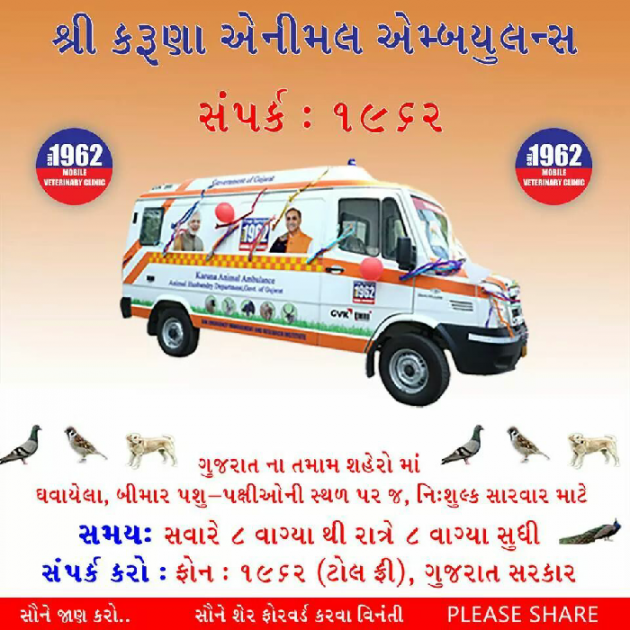 Gujarati News by Bharat Kaneja Bharat : 111175146