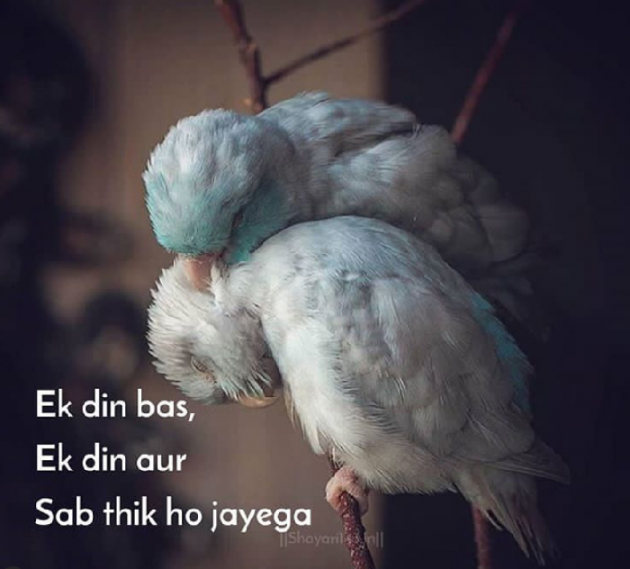 English Thought by Reena Dhamecha : 111175280