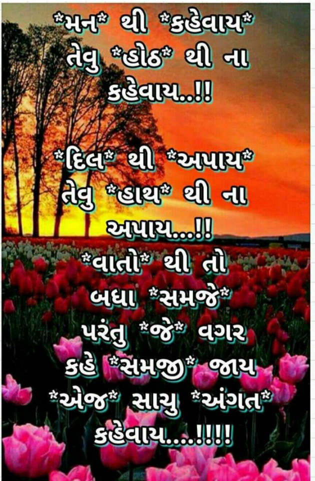 Gujarati Motivational by Aamin Bhatti : 111175380