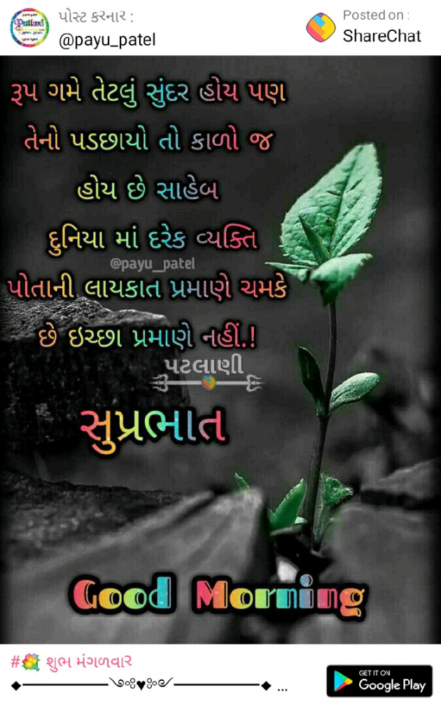 English Quotes by Dhaval Patel : 111175747