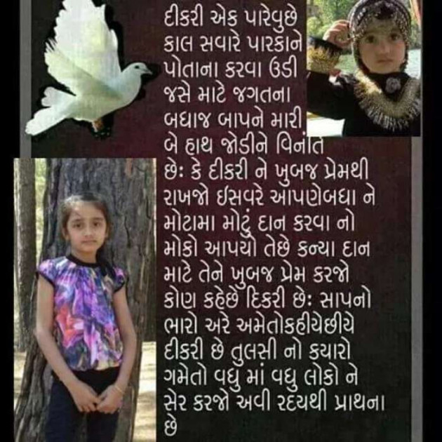 Gujarati Motivational by Aamin Bhatti : 111176127