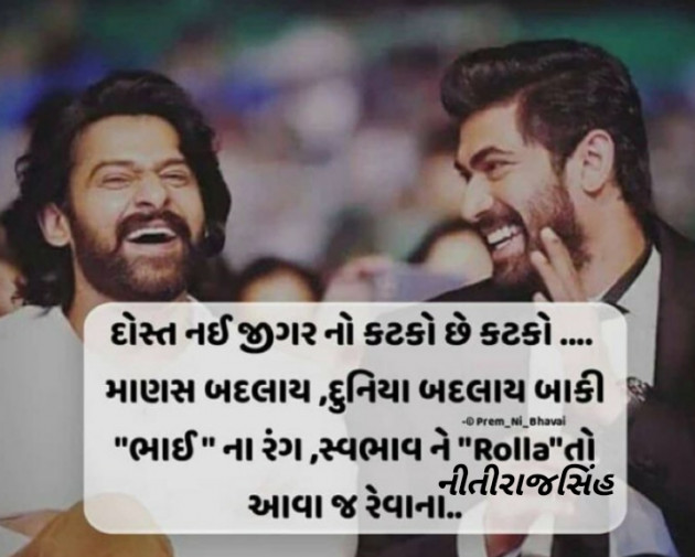 Gujarati Blog by Nitirajsinh Borana : 111176425