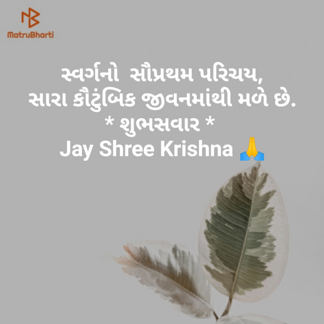 Gujarati Good Morning by SMChauhan : 111176513