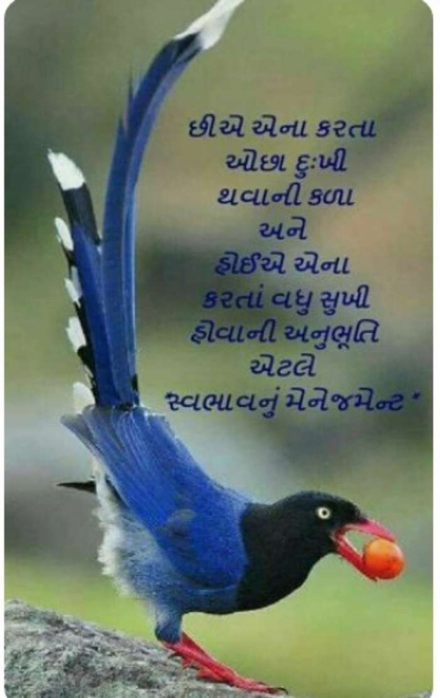English Quotes by Jasmin Mistry Jasmin Mistry : 111176736