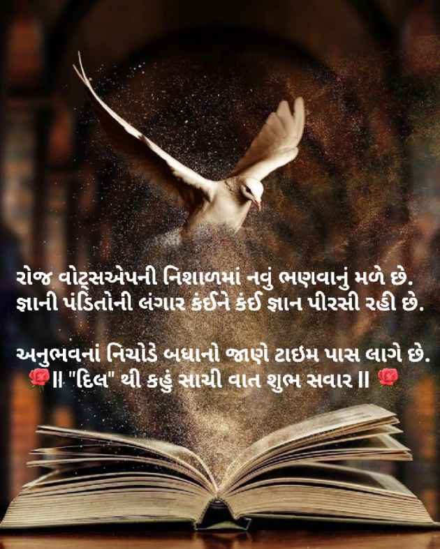 Gujarati Good Morning by Dakshesh Inamdar : 111176741