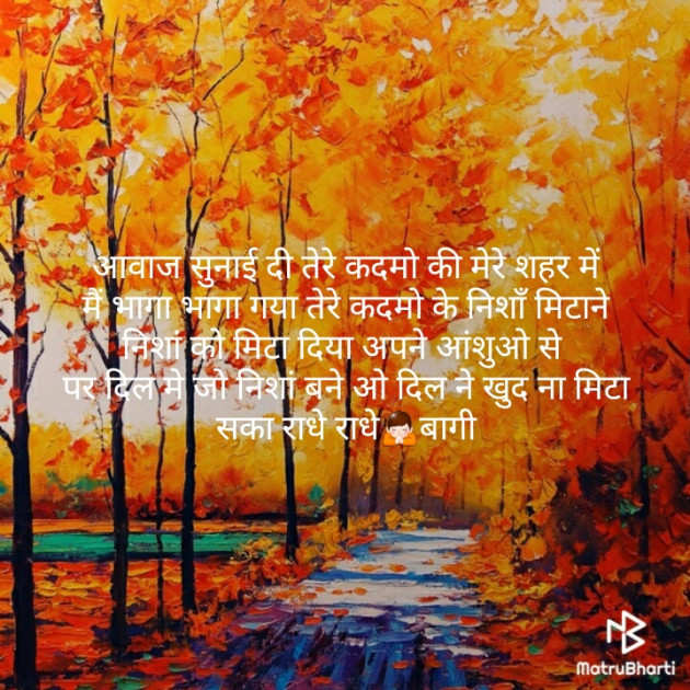 Hindi Whatsapp-Status by Pandit Bagi : 111176859