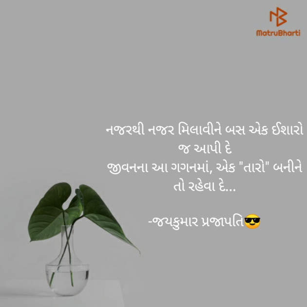 Gujarati Romance by Jay prajapati : 111176897