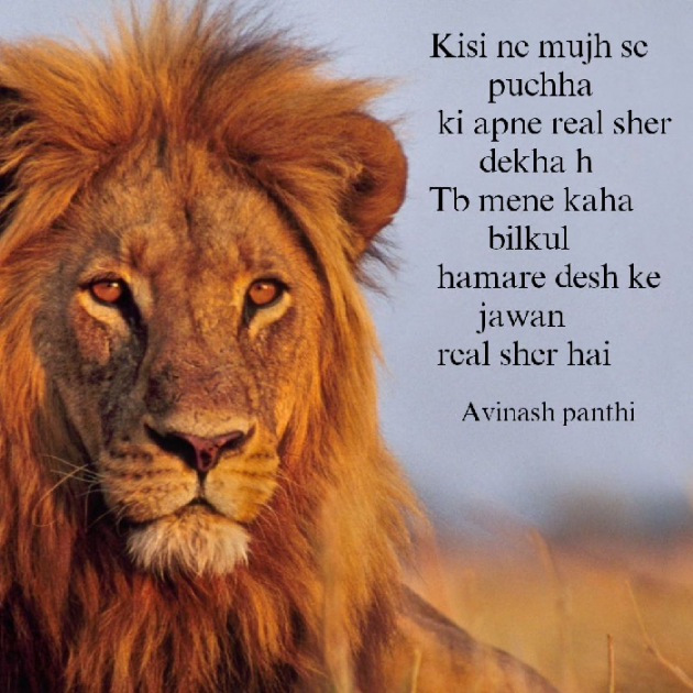 Hindi Shayri by Avinash Kabir Panthi : 111177346