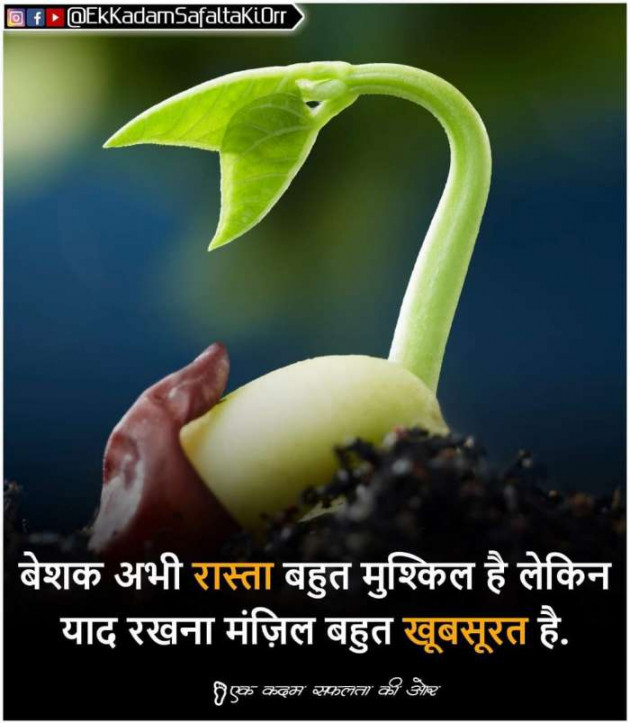 Gujarati Whatsapp-Status by sikandar : 111177383