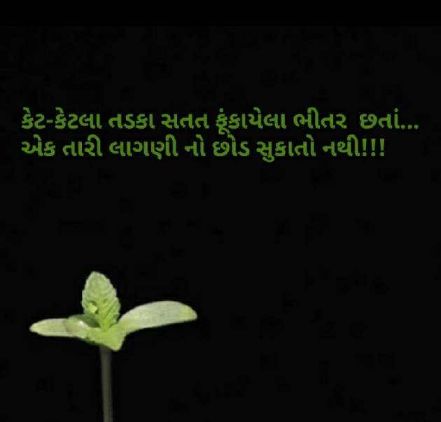 Gujarati Blog by Nidhi_Nanhi_Kalam_ : 111177801
