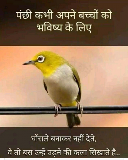 Post by Radhe Rajputa Baghel on 23-May-2019 09:44pm