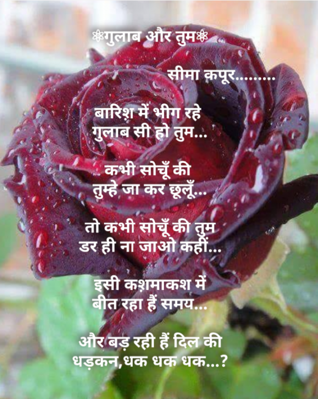 Hindi Poem by सीमा कपूर : 111178057