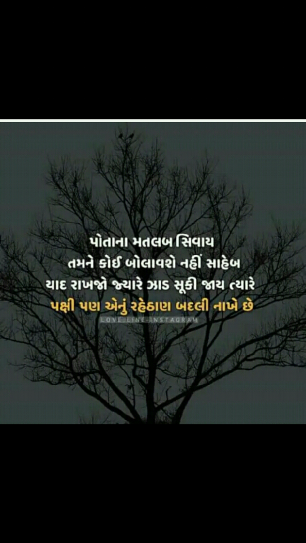 Gujarati Whatsapp-Status by Shahenaz Bloch : 111178080