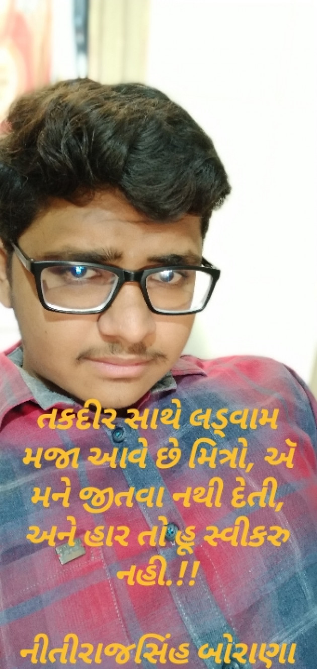 Gujarati Blog by Nitirajsinh Borana : 111178445