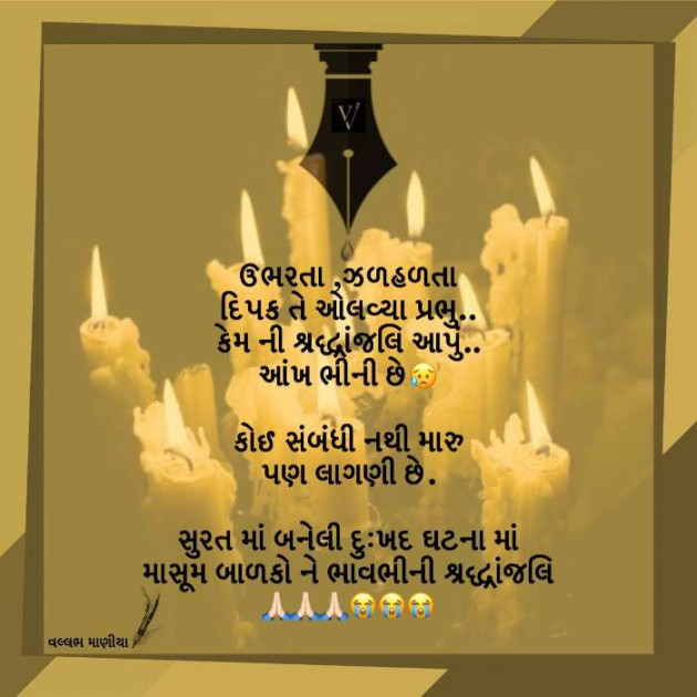 Gujarati Motivational by Shailesh Chauhan : 111179367