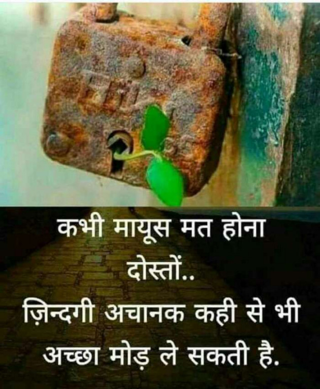 Hindi Quotes by Jassi Albert : 111179511