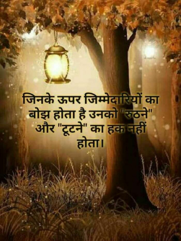 Gujarati Blog by Mira : 111179541