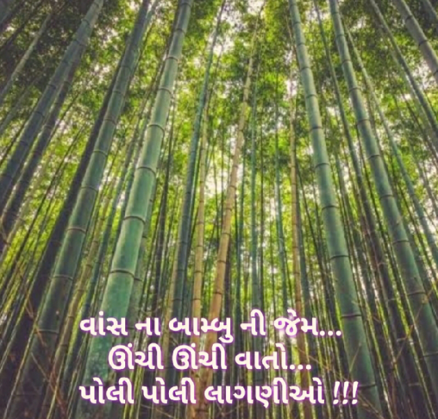 Gujarati Blog by Nidhi_Nanhi_Kalam_ : 111179578