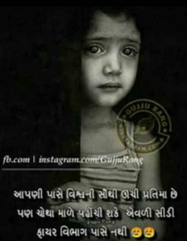 Gujarati Whatsapp-Status by Naksh Parmar : 111179907