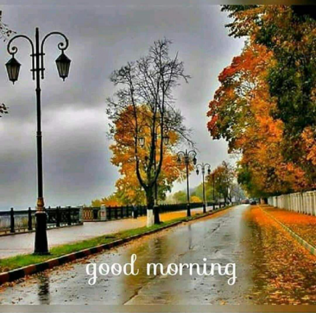 Hindi Good Morning by Ravi Rajpoot : 111180008