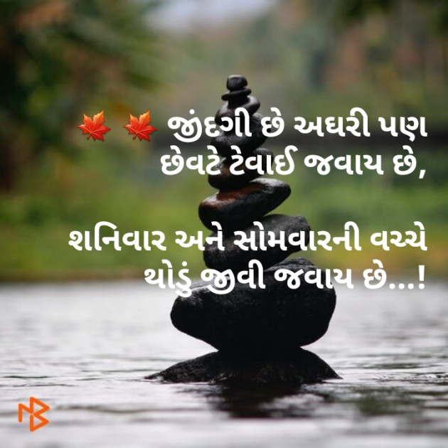 Gujarati Funny by Sonal : 111180279