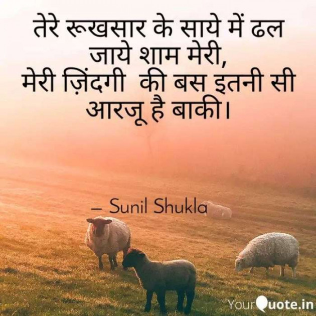 Hindi Whatsapp-Status by Sunil Shukla : 111180319