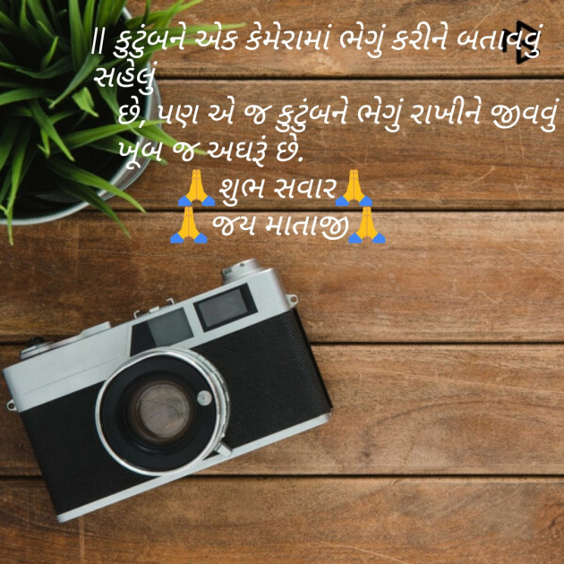 Gujarati Quotes by parag gandhi : 111180730