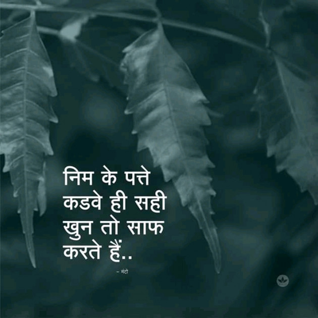 Hindi Motivational by Vipin choudhary : 111180777