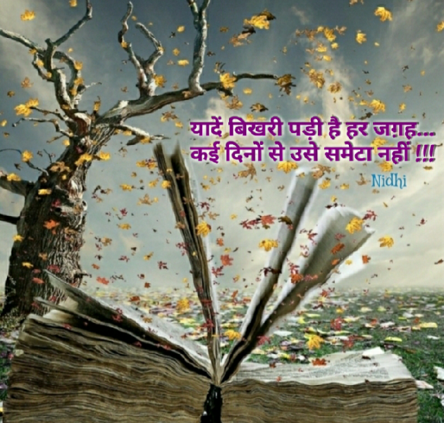 Gujarati Blog by Nidhi_Nanhi_Kalam_ : 111181163